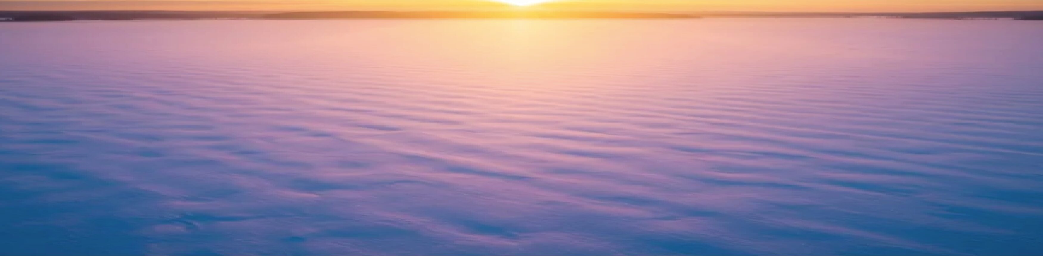 ディヴァイングレーストップ画像